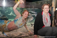 10 Jahre Sealife München 2016