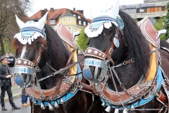 Eröffnung Frühlingsfest in München 2016