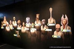 Star Wars "Identities"