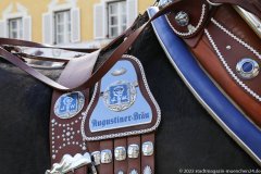 Festzug am Aubinger Herbstfest in München 2022