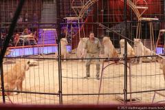 Circus Krone hilft Kindern das Leb en zu Retten.  Kommentiertes Raubtiertraining zu Gunsten der Nicolas-May-Stiftung, 2023