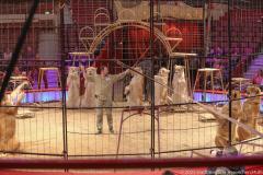 Circus Krone hilft Kindern das Leb en zu Retten.  Kommentiertes Raubtiertraining zu Gunsten der Nicolas-May-Stiftung, 2023