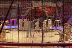 Circus Krone hilft Kindern das Leb en zu Retten.  Kommentiertes Raubtiertraining zu Gunsten der Nicolas-May-Stiftung, 2023