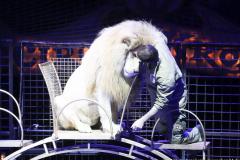 Circus Krone hilft Kindern das Leb en zu Retten.  Kommentiertes Raubtiertraining zu Gunsten der Nicolas-May-Stiftung, 2023