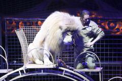 Circus Krone hilft Kindern das Leb en zu Retten.  Kommentiertes Raubtiertraining zu Gunsten der Nicolas-May-Stiftung, 2023