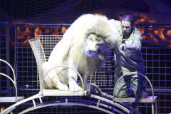 Circus Krone hilft Kindern das Leb en zu Retten.  Kommentiertes Raubtiertraining zu Gunsten der Nicolas-May-Stiftung, 2023