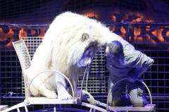 Circus Krone hilft Kindern das Leb en zu Retten.  Kommentiertes Raubtiertraining zu Gunsten der Nicolas-May-Stiftung, 2023