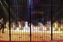 Circus Krone Stars in der Manege im Circus Krone Bau in München 2022