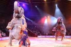 Jana Lacey-Krone, Premiere erstes Winterprogramm im Circus Krone in München 2018