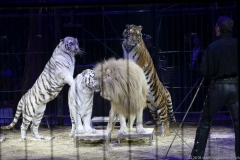 Martin Lacey, Premiere erstes Winterprogramm im Circus Krone in München 2018