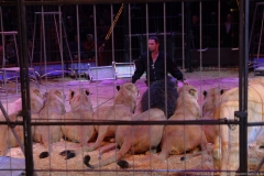 Martin Lacey, Premiere erstes Winterprogramm im Circus Krone in München 2018