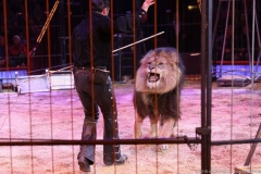 Martin Lacey, Premiere erstes Winterprogramm im Circus Krone in München 2018