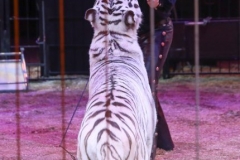 Martin Lacey, Premiere erstes Winterprogramm im Circus Krone in München 2018