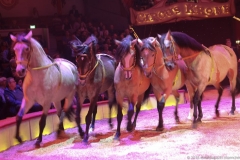 Premiere erstes Winterprogramm im Circus Krone in München 2018