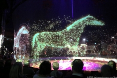 Circus Roncalli am Leonrodplatz in München 2019