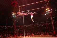 Circus Roncalli am Leonrodplatz in München 2019