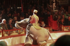 Circus Roncalli am Leonrodplatz in München 2019