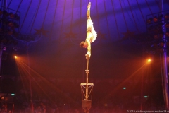 Circus Roncalli am Leonrodplatz in München 2019