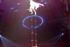 Circus Roncalli am Leonrodplatz in München 2019