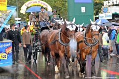 Einzug der Wiesn Wirte 2016