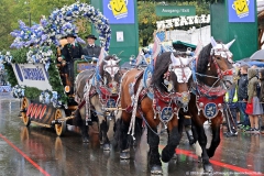 Einzug der Wiesn Wirte 2016