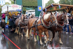 Einzug der Wiesn Wirte 2016