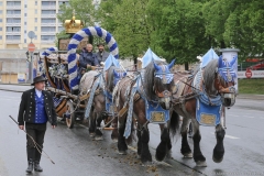 Prachtgespann Hofbräu, Eröffnung Frühlingsfest auf der Theresienwiese in München 2019