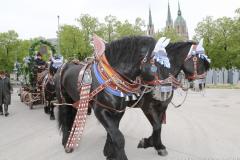  Eröffnung Frühlingsfest 2024