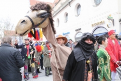 Faschingszug der Damischen Ritter durch die Fußgängerzone in München 2019