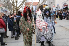 Faschingszug der Damischen Ritter durch die Fußgängerzone in München 2019