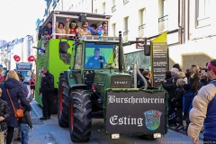 Faschingszug der Damischen Ritter 2017