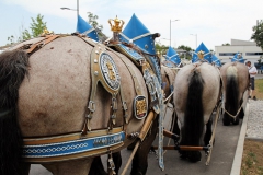 Hofbräudult 2015