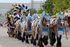 Hofbräudult 2015