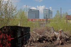 Landschaftspark Baumkirchen eine außergewöhnliche Parkanlage in München 2020