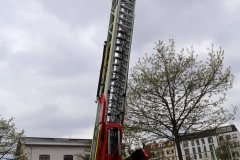 Maibaum am Viktualienmarkt 2017