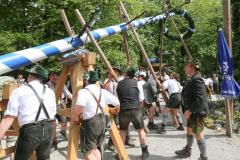 Maibaum Augustiner Keller 2024