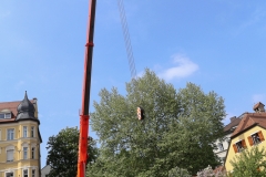 Maibaum Haidhausen 2018