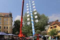 Maibaum Haidhausen 2018