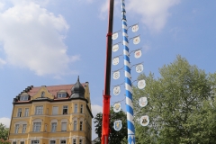 Maibaum Haidhausen 2018