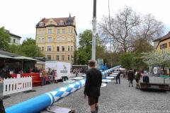 Haidhausen hat wieder einen Maibaum. Maibaumaufstellen am Wiener Platz in München 2023