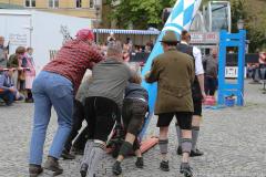 Haidhausen hat wieder einen Maibaum. Maibaumaufstellen am Wiener Platz in München 2023