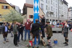 Haidhausen hat wieder einen Maibaum. Maibaumaufstellen am Wiener Platz in München 2023