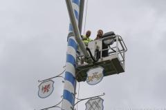 Haidhausen hat wieder einen Maibaum. Maibaumaufstellen am Wiener Platz in München 2023