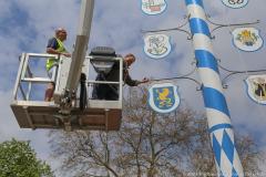 Haidhausen hat wieder einen Maibaum. Maibaumaufstellen am Wiener Platz in München 2023