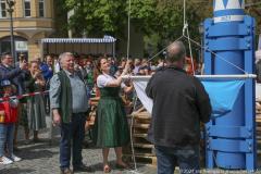 Haidhausen hat wieder einen Maibaum. Maibaumaufstellen am Wiener Platz in München 2023