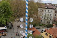 Haidhausen hat wieder einen Maibaum. Maibaumaufstellen am Wiener Platz in München 2023