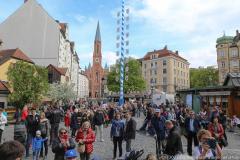 Haidhausen hat wieder einen Maibaum. Maibaumaufstellen am Wiener Platz in München 2023