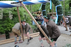 Maibaum im Augustiner Keller 2018