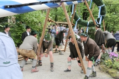 Maibaum im Augustiner Keller 2018