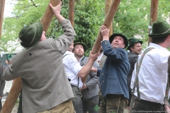 Maibaum im Augustiner Keller 2018